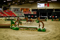 2025 - Haylee - Royal West - Saturday October 18th - 08468