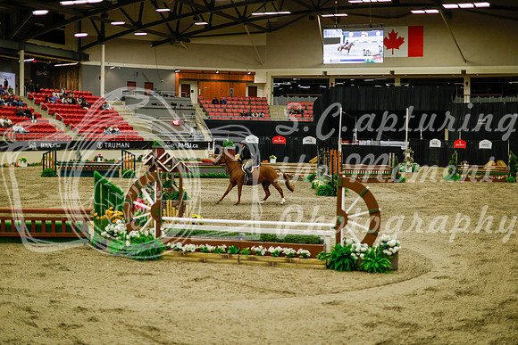 2025 - Haylee - Royal West - Saturday October 18th - 08468