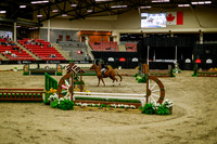2025 - Haylee - Royal West - Saturday October 18th - 08469