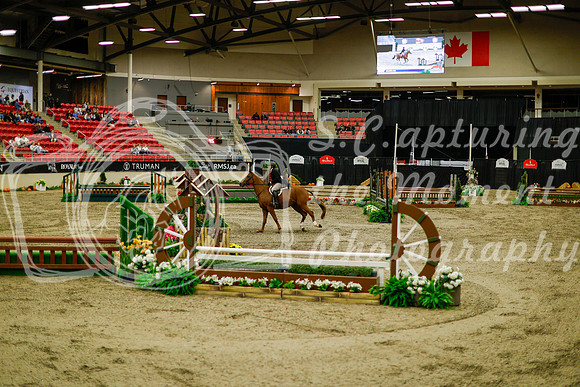 2025 - Haylee - Royal West - Saturday October 18th - 08469
