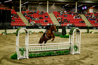 2025 - Haylee - Royal West - Saturday October 18th - 08470