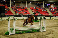 2025 - Haylee - Royal West - Saturday October 18th - 08471