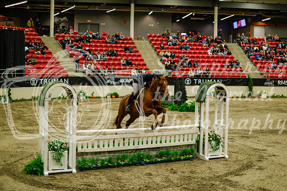 2025 - Haylee - Royal West - Saturday October 18th - 08471