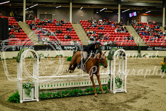 2025 - Haylee - Royal West - Saturday October 18th - 08473