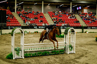 2025 - Haylee - Royal West - Saturday October 18th - 08472