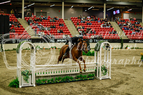 2025 - Haylee - Royal West - Saturday October 18th - 08472