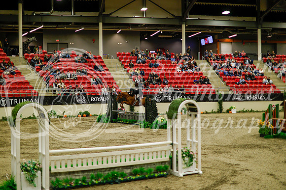 2025 - Haylee - Royal West - Saturday October 18th - 08474