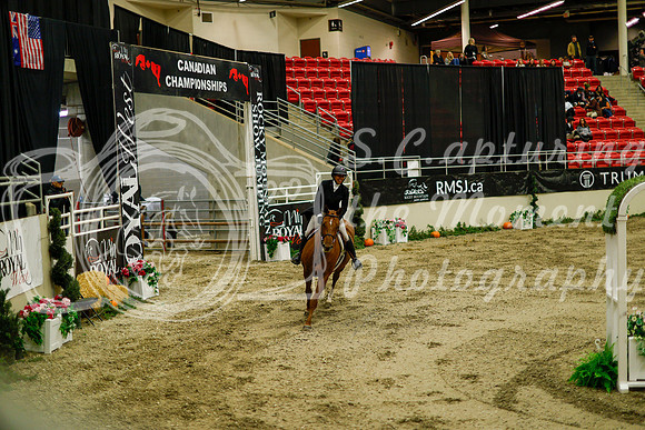 2025 - Haylee - Royal West - Saturday October 18th - 08477