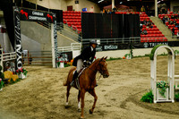 2025 - Haylee - Royal West - Saturday October 18th - 08480