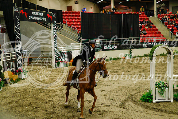 2025 - Haylee - Royal West - Saturday October 18th - 08480