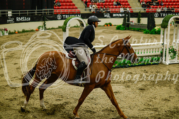2025 - Haylee - Royal West - Saturday October 18th - 08483