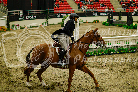 2025 - Haylee - Royal West - Saturday October 18th - 08482