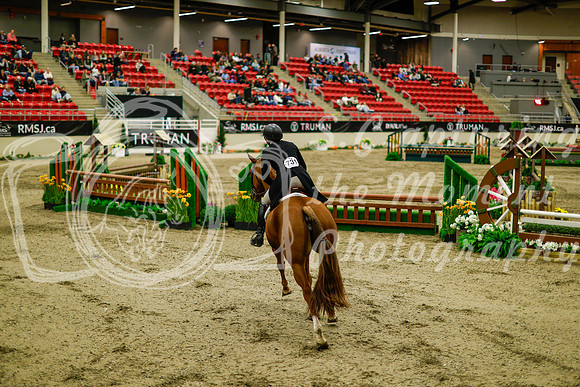 2025 - Haylee - Royal West - Saturday October 18th - 08484