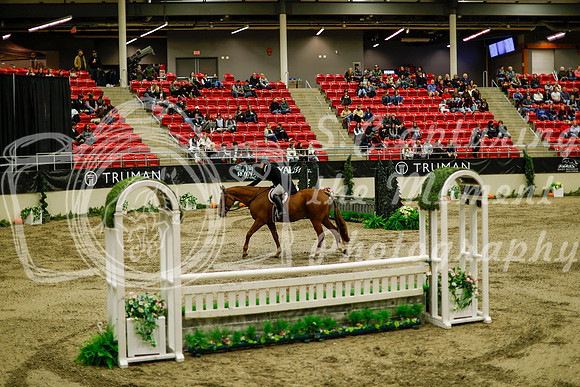 2025 - Haylee - Royal West - Saturday October 18th - 08485