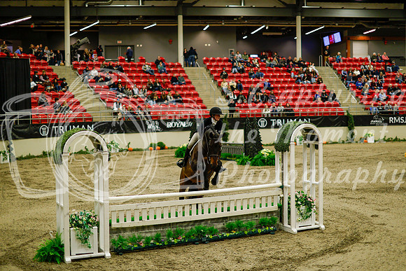 2025 - Haylee - Royal West - Saturday October 18th - 08298