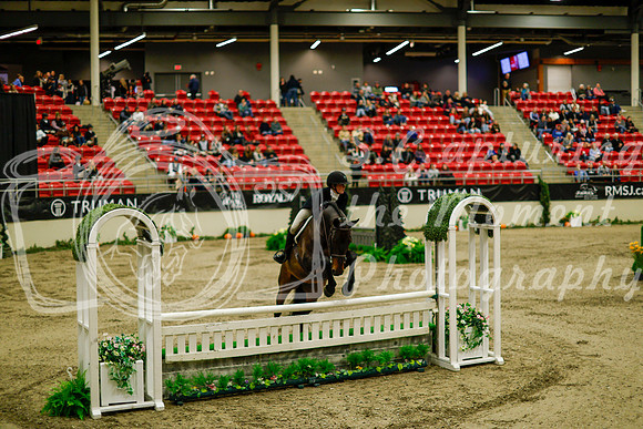 2025 - Haylee - Royal West - Saturday October 18th - 08299
