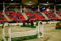2025 - Haylee - Royal West - Saturday October 18th - 08303