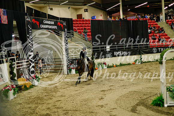 2025 - Haylee - Royal West - Saturday October 18th - 08306