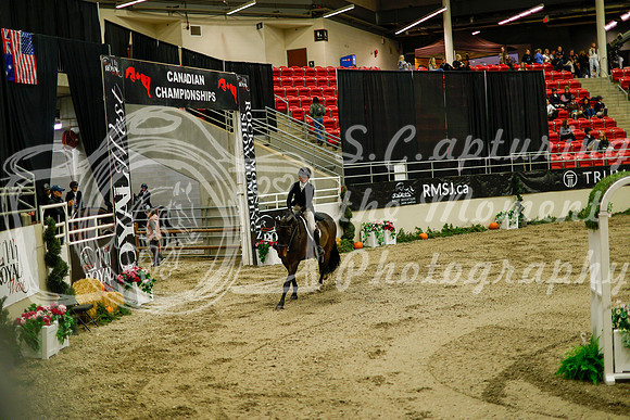 2025 - Haylee - Royal West - Saturday October 18th - 08307