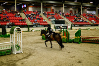 2025 - Haylee - Royal West - Saturday October 18th - 08310