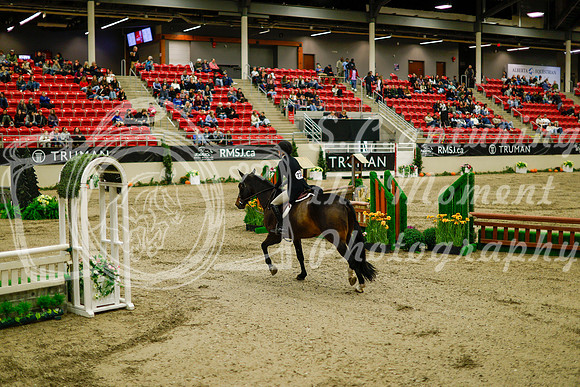 2025 - Haylee - Royal West - Saturday October 18th - 08310