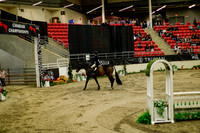 2025 - Haylee - Royal West - Saturday October 18th - 08311
