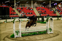 2025 - Haylee - Royal West - Saturday October 18th - 08203