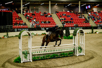 2025 - Haylee - Royal West - Saturday October 18th - 08204