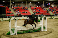 2025 - Haylee - Royal West - Saturday October 18th - 08205