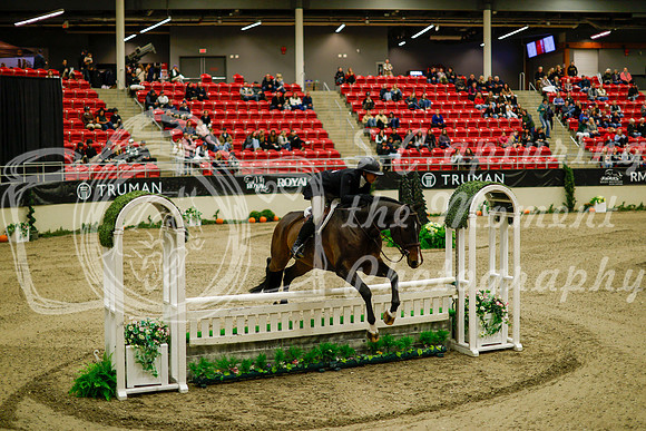 2025 - Haylee - Royal West - Saturday October 18th - 08205