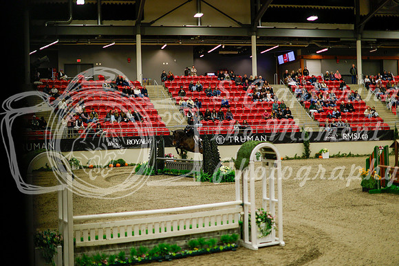 2025 - Haylee - Royal West - Saturday October 18th - 08206