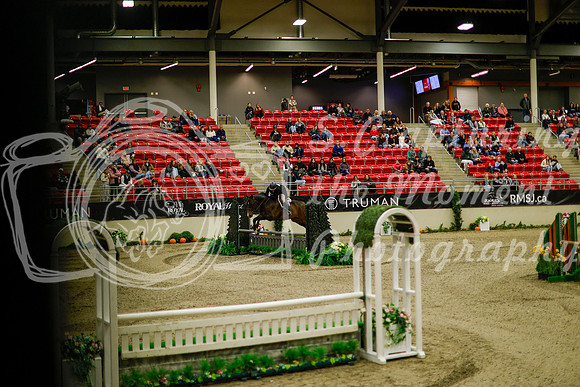 2025 - Haylee - Royal West - Saturday October 18th - 08207