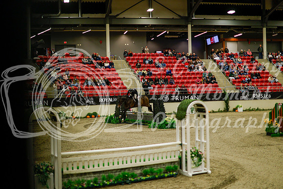 2025 - Haylee - Royal West - Saturday October 18th - 08208