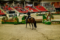 2025 - Haylee - Royal West - Saturday October 18th - 08209