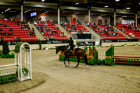 2025 - Haylee - Royal West - Saturday October 18th - 08211