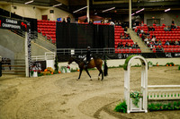 2025 - Haylee - Royal West - Saturday October 18th - 08213
