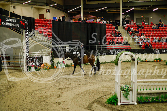2025 - Haylee - Royal West - Saturday October 18th - 08213