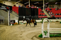2025 - Haylee - Royal West - Saturday October 18th - 08212