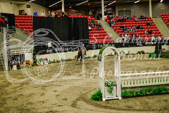 2025 - Haylee - Royal West - Saturday October 18th - 08557