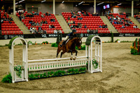 2025 - Haylee - Royal West - Saturday October 18th - 08560