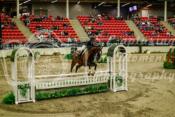 2025 - Haylee - Royal West - Saturday October 18th - 08560