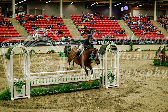 2025 - Haylee - Royal West - Saturday October 18th - 08561