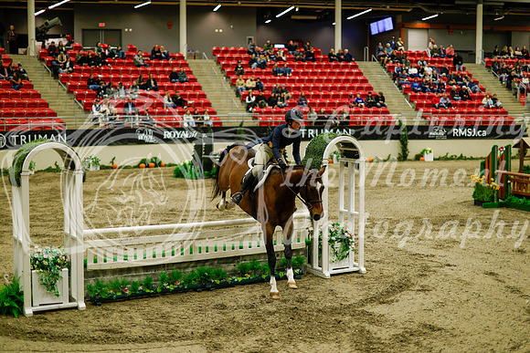 2025 - Haylee - Royal West - Saturday October 18th - 08562