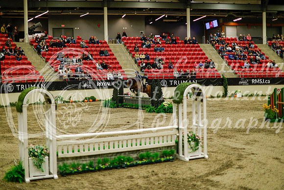 2025 - Haylee - Royal West - Saturday October 18th - 08563