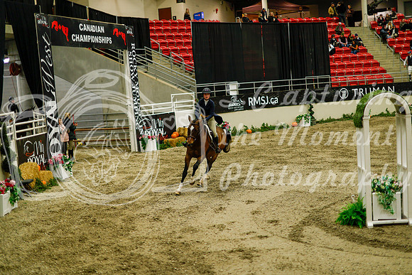 2025 - Haylee - Royal West - Saturday October 18th - 08566