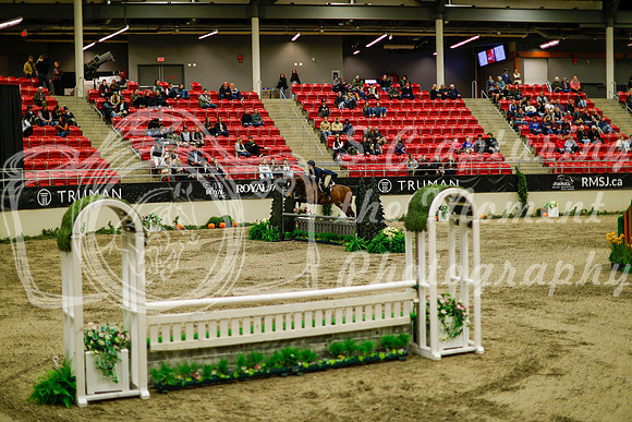 2025 - Haylee - Royal West - Saturday October 18th - 08564