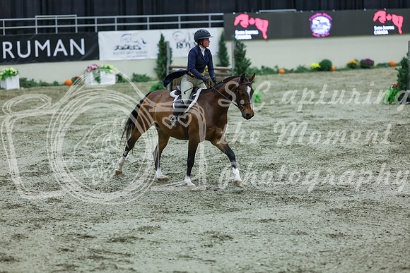 2025 - Shea - Royal West - Saturday October 18th - 06293