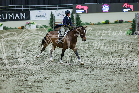 2025 - Shea - Royal West - Saturday October 18th - 06294