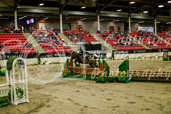 2025 - Haylee - Royal West - Saturday October 18th - 08490