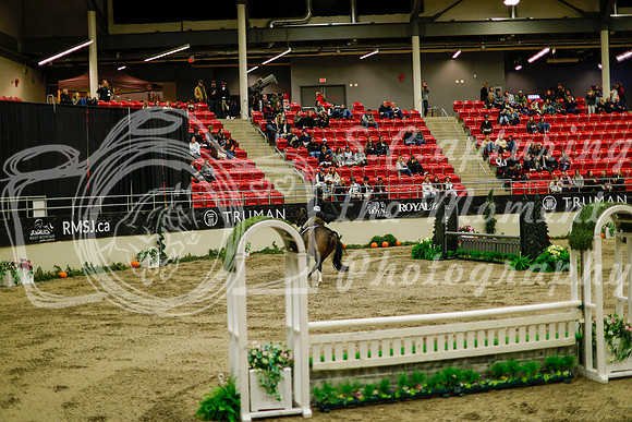 2025 - Haylee - Royal West - Saturday October 18th - 08492